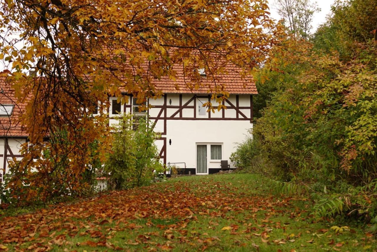 Апартаменты Haus An Der Werbe Вальдек Экстерьер фото