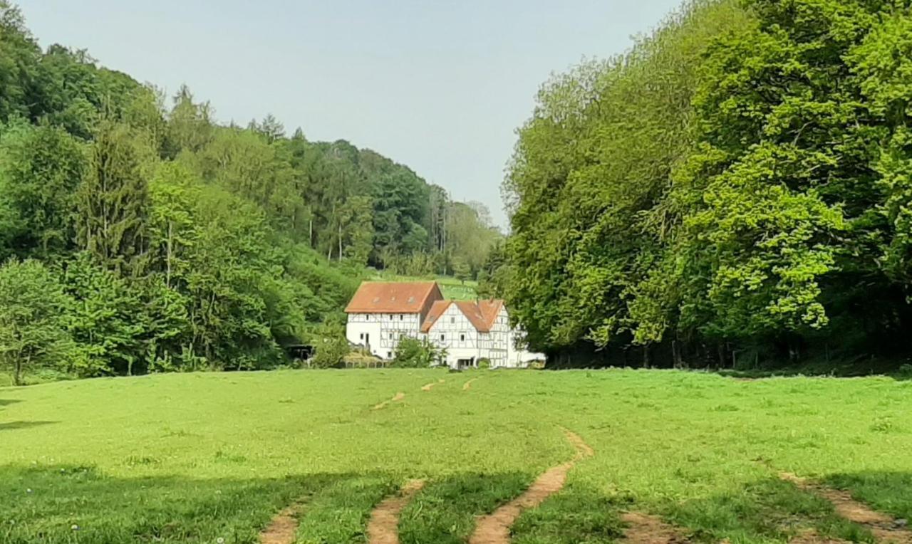 Апартаменты Haus An Der Werbe Вальдек Экстерьер фото